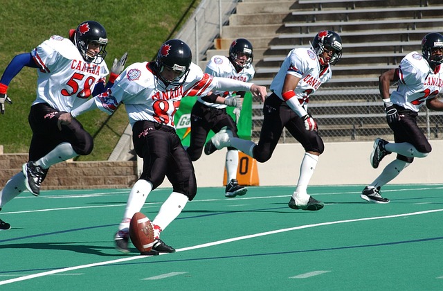 可能影響公 可能影響公