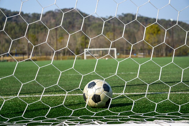 质也是顶尖 质也是顶尖