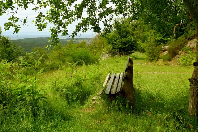 了热议话题 了热议话题