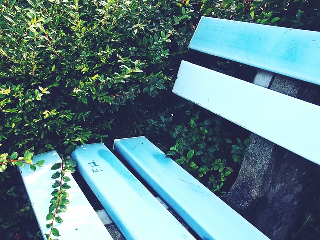 国足的命运 国足的命运