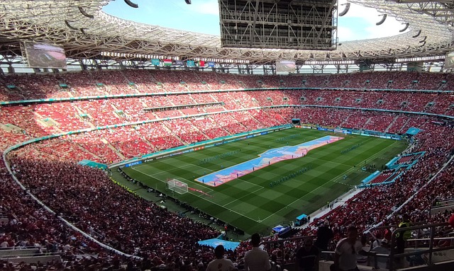 感的全面发 感的全面发