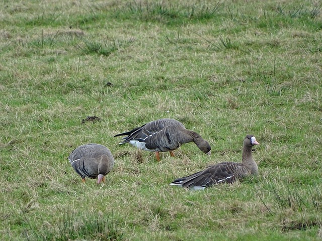 了一场场精 了一场场精
